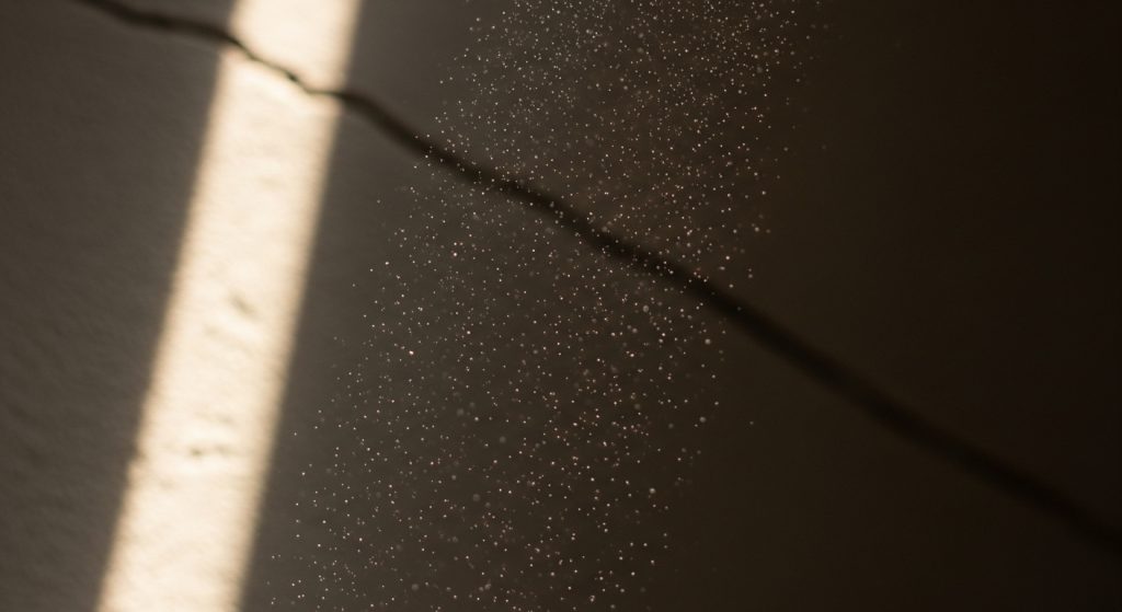Ceiling Dust or Particles Falling